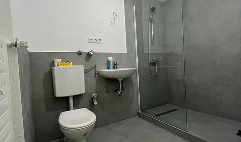 Renovated 2 rooms with balcony