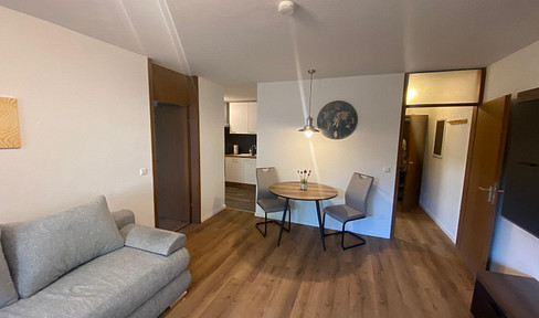 Newly renovated, furnished apartment for rent in the heart of Heidelberg
