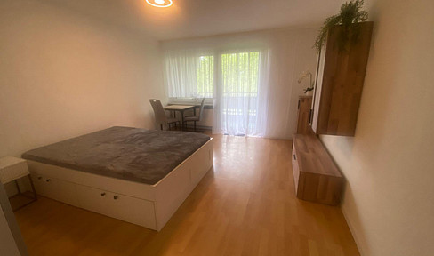 Frisch renovierte, möblierte 40qm Wohnung im Herzen von Heidelberg zu vermieten