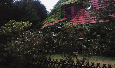 Detached house on the outskirts, corner plot, house in the green surrounded by ivy and vines