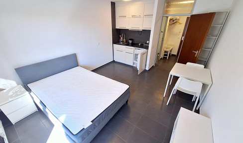 high-quality furnished apartment FREE FROM SEPTEMBER 2025