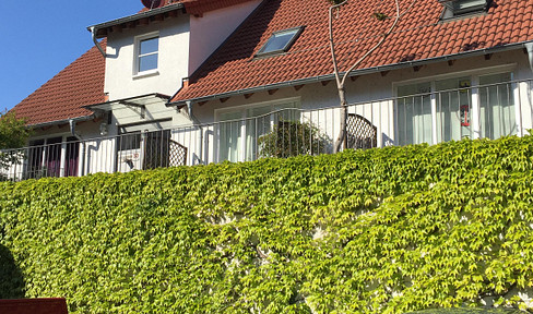 Modern furnished apartment directly on the Rhine with terrace