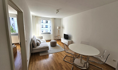 Furnished modernized apartment with balcony and walking distance to public transport
