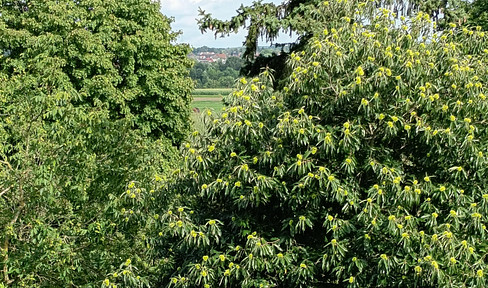 Schöne Aussichten