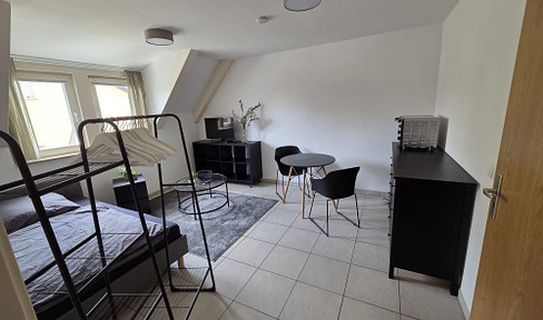 small but nice, furnished 1-room apartment in Heilbronn-Neckargartach