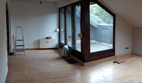 Sunny renovated attic with roof terrace