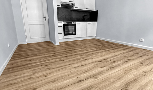 Beautiful 2-room apartment in Lindenau.
