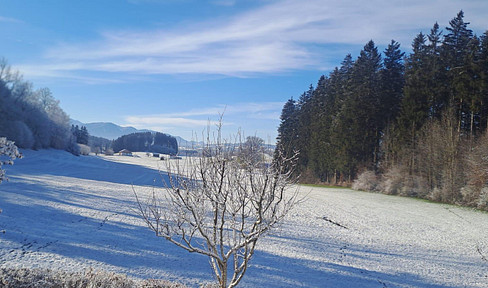 Detached house in the Allgäu