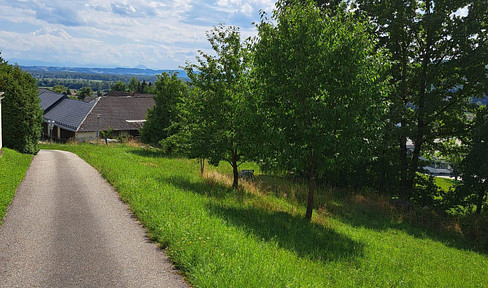 Baugrund mit Alpenblick