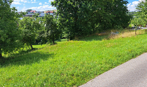 Living in the countryside but close to the city