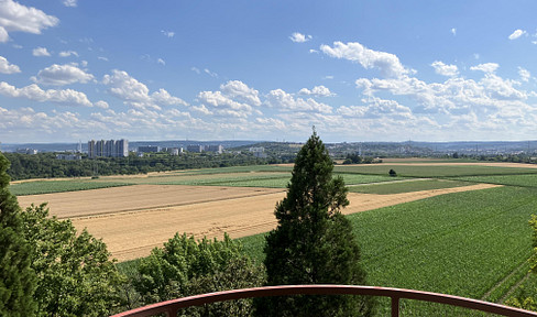 2.5 to 3.5 room apartment with a great view