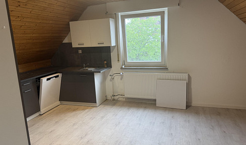 DG apartment in Korb