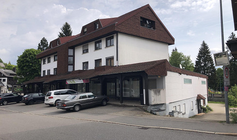 Attention: Large family, investor, multi-family house with commercial space