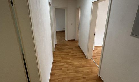 Bright 3 room apartment with new fitted kitchen in Zabo