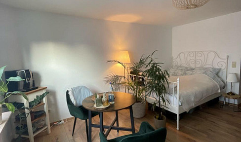 Cozy, modern 1-room apartment incl. fitted kitchen