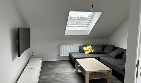 Cozy 3-room attic apartment