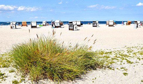 Building close to the Baltic Sea in idyllic surroundings