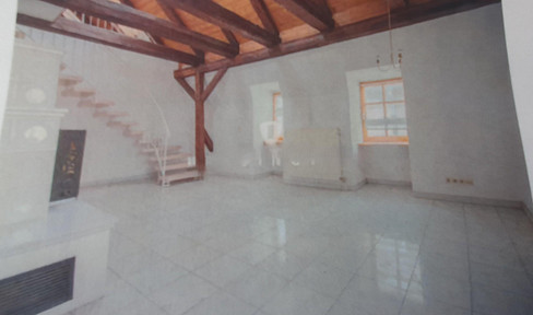 Great roof terrace apartment 5 room shared flat city center penthouse modern bright new
