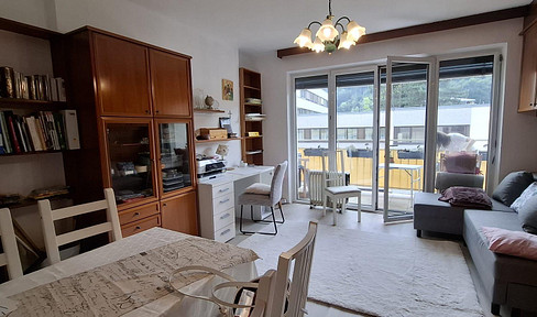 Helle südseitige Wohnung mit schönen Ausblick ins Grüne