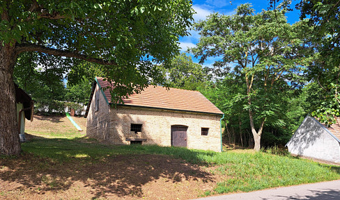 Press house in idyllic location with wine cellar