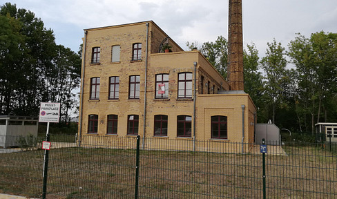 Spacious and high-quality living on the green outskirts of Leipzig