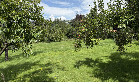 Wunderschöner Grund im Zaubertal