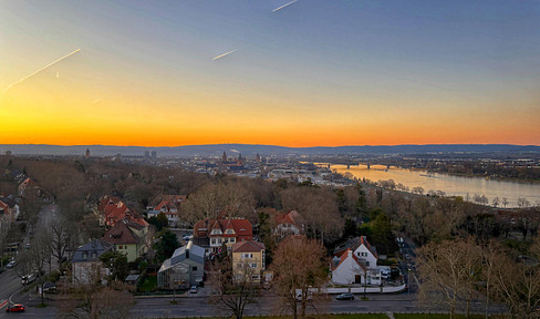 Breathtaking view over Mainz