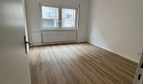 Newly renovated 2-room apartment with EBK