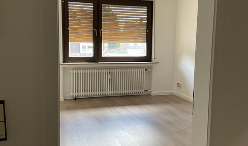 Renovated 1-room apartment