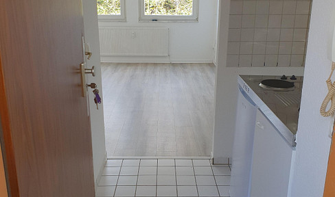 frisch renoviertes Apartment in Essen-Altenessen-Süd zu vermieten