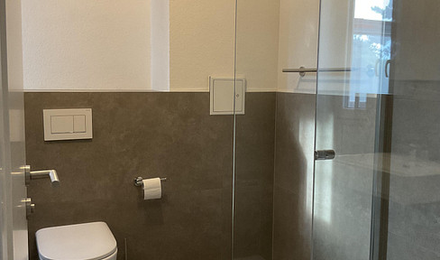 2024 extensively renovated 4.5-room apartment for rent in Karlsruhe Süd-Weststadt