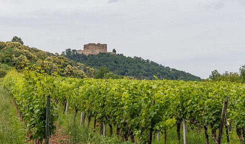 Exclusive plot with views of Hambach Castle - field edge location next to vineyards and panoramic views