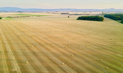 Farmland in 2482 Münchendorf, district of Mödling , Lower Austria (agricultural) - central, directly adjacent to building land