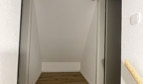 Renovated 3-room apartment with balcony in the city center