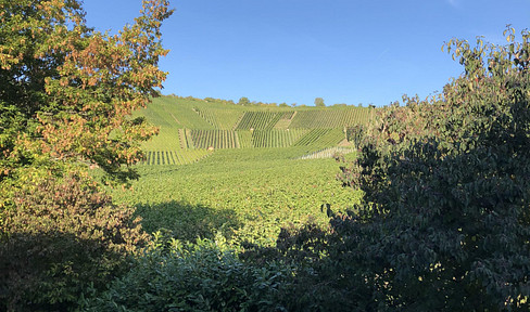 TOP - Großheppach, Maisonette 4,5-Zi.-Whg. evtl. für Home Office mit EBK, Geschmack und Aussicht!