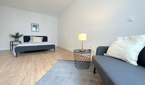 renovated 1-room apartment fully furnished, ready to move in from July!