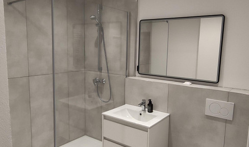 Fully furnished 3 room apartment in Mögeldorf temporary