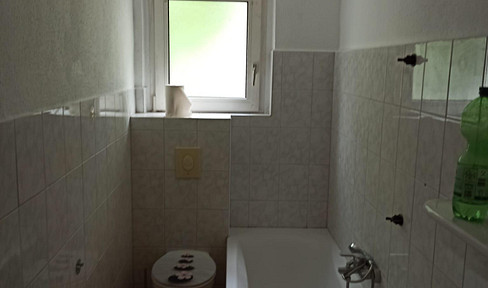 Modernized 3-room apartment with balcony and daylight bathroom