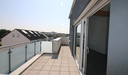 Modern 3-room penthouse from 01.08.2025