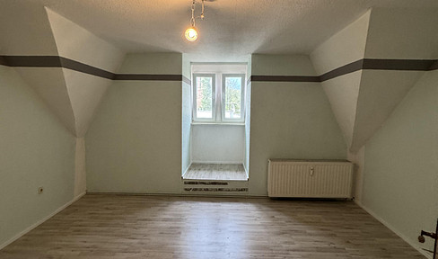 Newly renovated beautiful and large 4-room apartment for rent