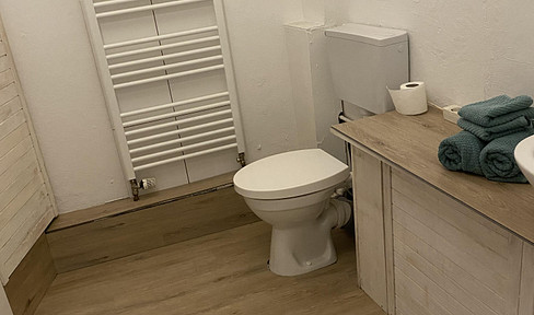 Stylishly furnished 2 room loft in Osnabrück city center