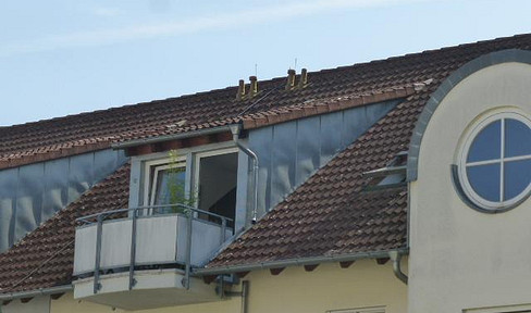 Müllheim, 1 room penthouse with charm & balcony