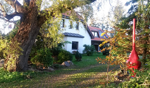 Large house in the middle of nature