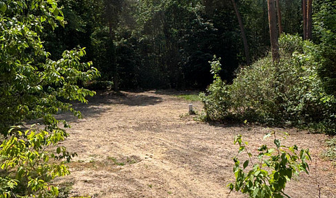 Commission-free – Approximately 920 square meters of fully developed building land in Schönwalde-Glien, located on the edge of a forest.
