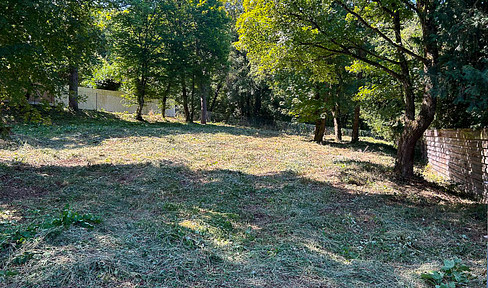 1,424 sqm undeveloped villa plot above Würzburg