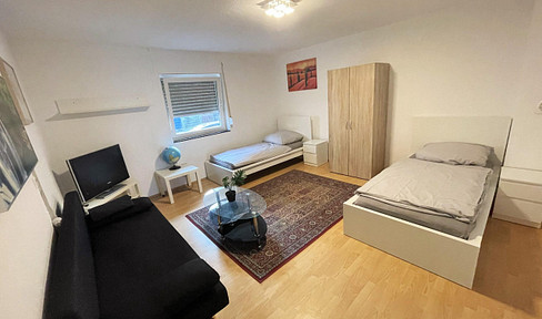 Furnished 1.5-room apartment with kitchen/living room, shower/WC, washing machine and balcony