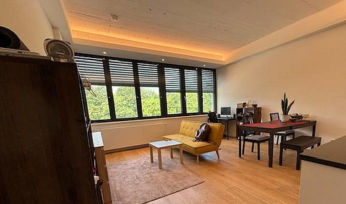 1.5 room apartment with great furnishings