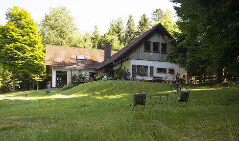 Charming country-style villa on a beautiful natural plot