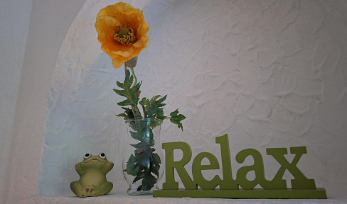 COOL - green - complete : NR-App for moving in with the suitcase in Friedrichsdorf