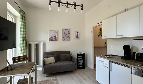 Lifestyle apartment with large balcony in central location (317)